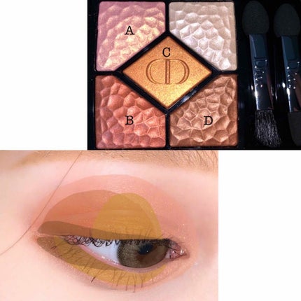 サンク クルール<ワイルド アース>/Dior/アイシャドウパレットを使ったクチコミ(3枚目)