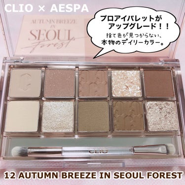 プロ アイ パレット/CLIO/アイシャドウパレットを使ったクチコミ（3枚目）