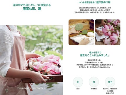 micro deep cleansing foam/Mamonde/洗顔フォームを使ったクチコミ(4枚目)