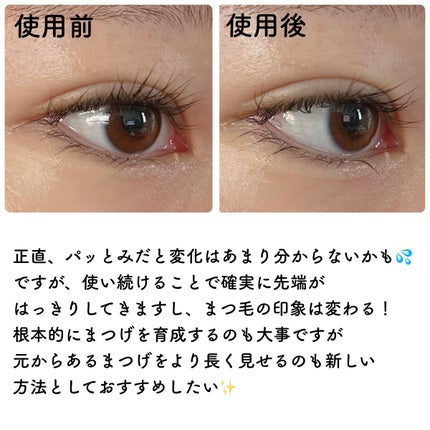マジックティント/MAJOLICA MAJORCA/マスカラを使ったクチコミ(3枚目)