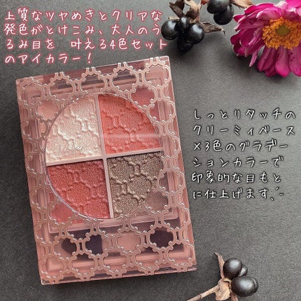 グロッシーリッチ アイズ N/Visée/アイシャドウパレットを使ったクチコミ(2枚目)