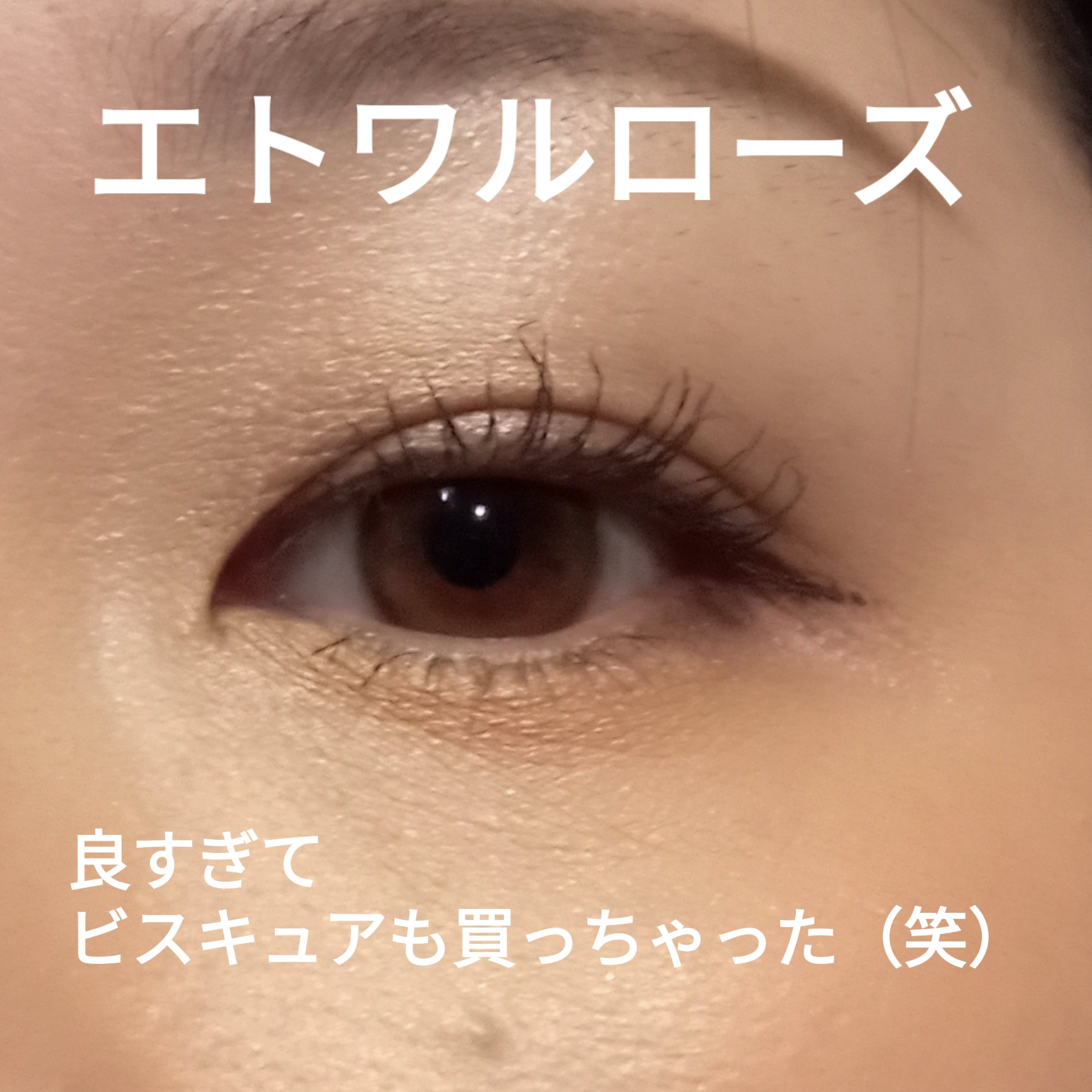 エトワルローズ 4色アイシャドウ 05 ビスキュイ/Étoile Rose/アイシャドウパレットを使ったクチコミ（1枚目）