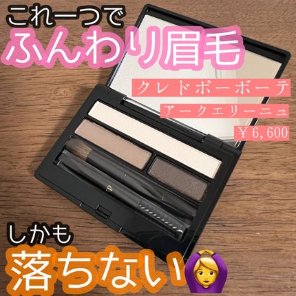 アークエリーニュ/クレ・ド・ポー ボーテ/パウダーアイブロウを使ったクチコミ(1枚目)