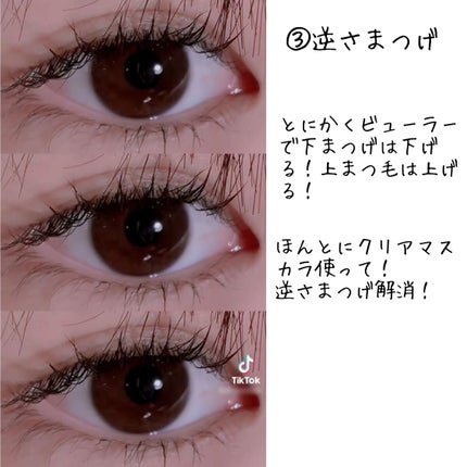 クイックラッシュカーラー/キャンメイク/マスカラ下地を使ったクチコミ(6枚目)