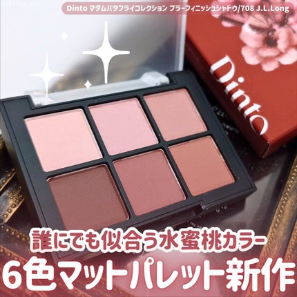 ブラーフィニシュシャドウパレット/Dinto/アイシャドウパレットを使ったクチコミ(1枚目)