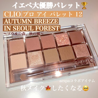 プロ アイ パレット 12 AUTUMN BREEZE IN SEOUL FOREST/CLIO/パウダーアイシャドウを使ったクチコミ（1枚目）