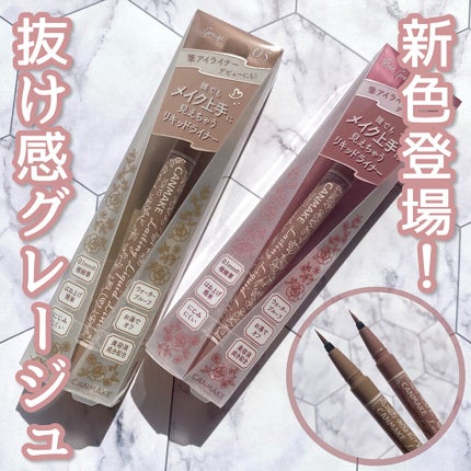 ラスティングリキッドライナー/キャンメイク/リキッドアイライナーを使ったクチコミ(1枚目)