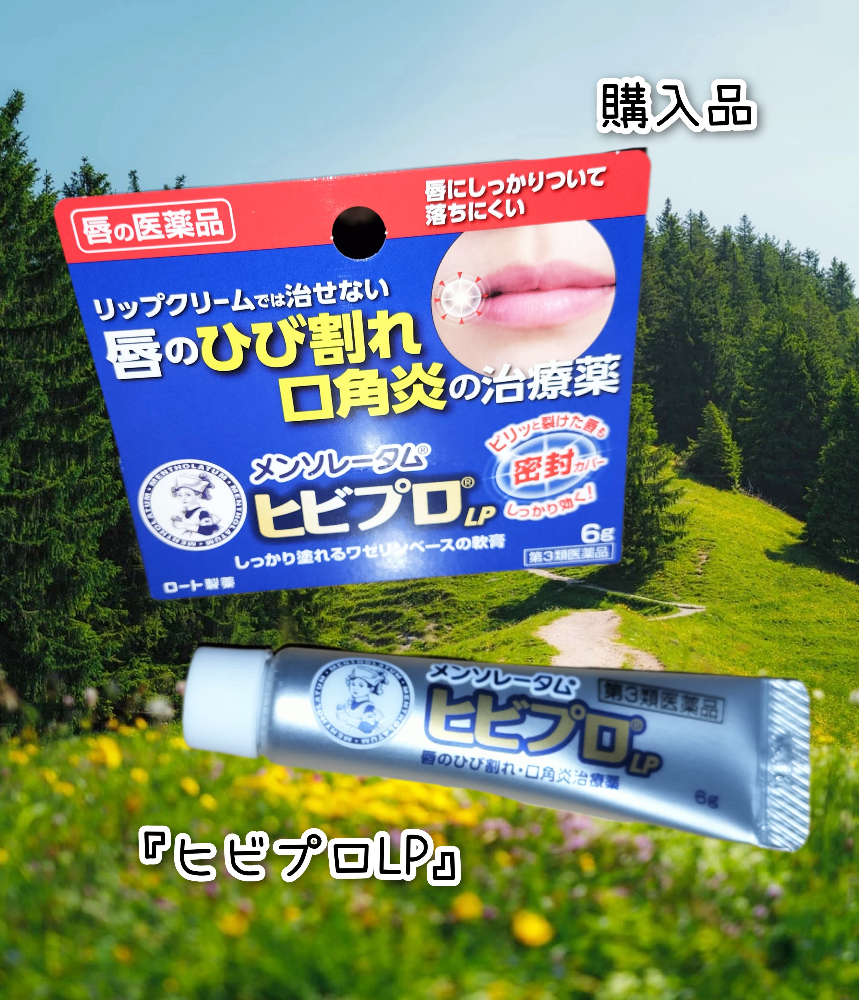 ヒビプロLP(医薬品)/メンソレータム/その他を使ったクチコミ（1枚目）
