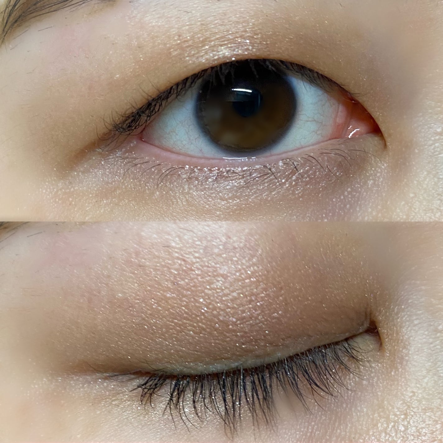 ã¢ã€ã°ããŠãžã§ã  ã¹ãã³ã·ã£ããŠ/DECORTÃ/ãžã§ã«ã»ã¯ãªãŒã ã¢ã€ã·ã£ããŠã䜿ã£ãã¯ãã³ãïŒ1æç®ïŒ