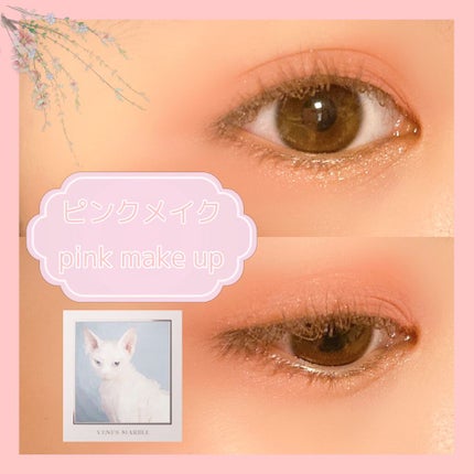 Venus Marble アイシャドウキャットシリーズ/Venus Marble/アイシャドウパレットを使ったクチコミ(1枚目)