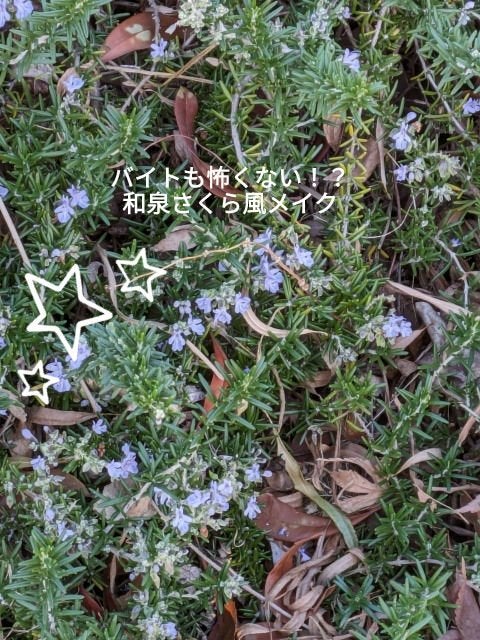 ミックスアイブロウ/キャンメイク/パウダーアイブロウを使ったクチコミ(1枚目)