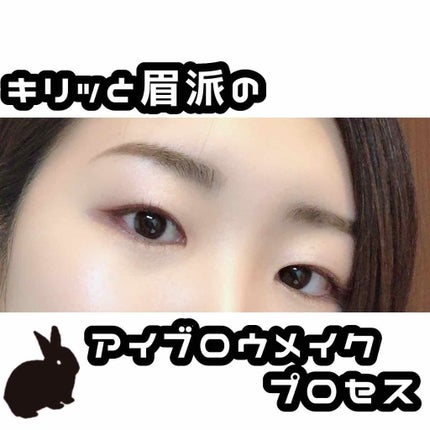 ケイト デザイニングアイブロウ3D/KATE/パウダーアイブロウを使ったクチコミ(1枚目)