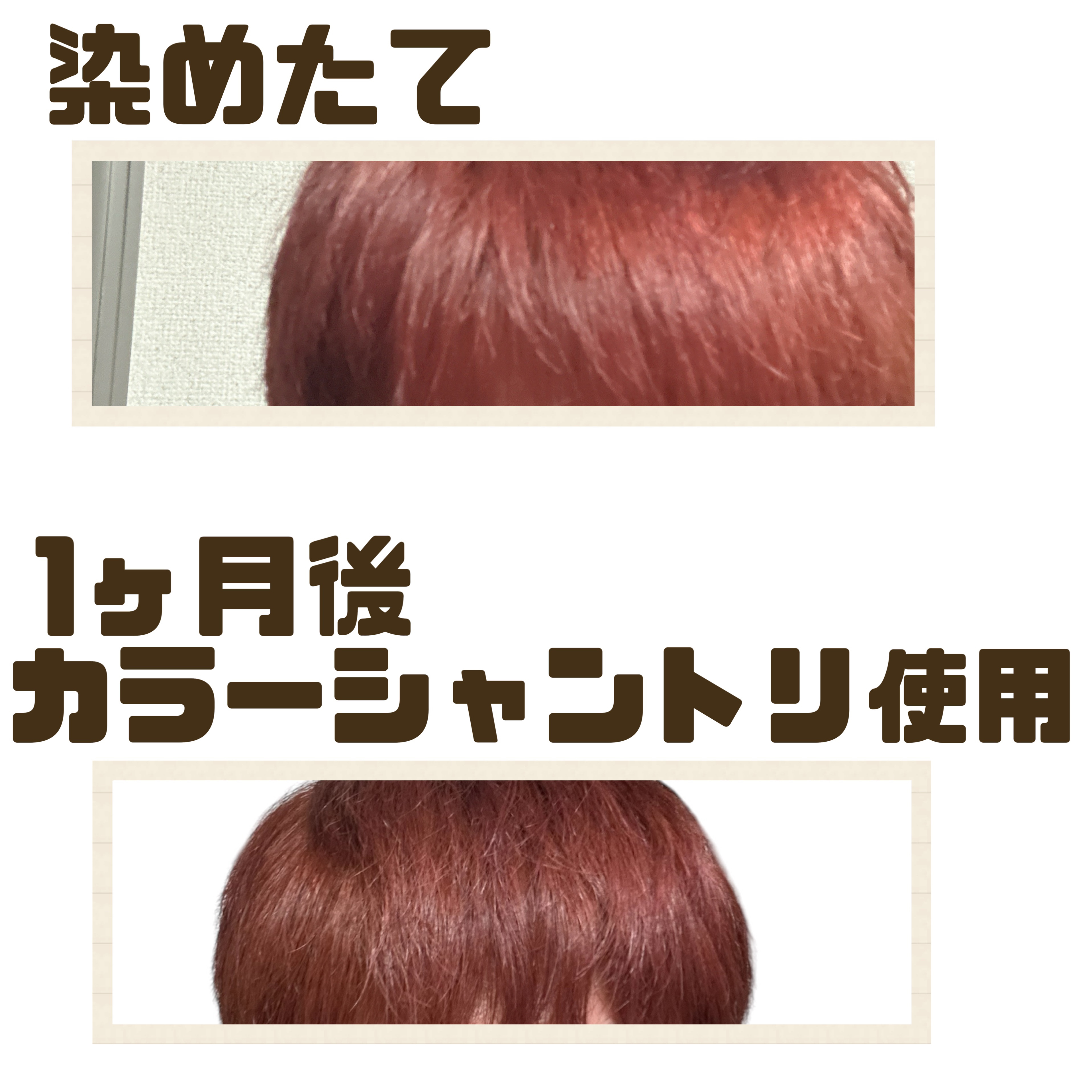 エブリ カラーシャンプー ピンク･レッド/アンナドンナ/市販シャンプーを使ったクチコミ（2枚目）