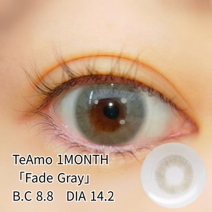 GRUNGE 1month Fade Gray/TeAmo/1ヶ月(1MONTH)カラコンの画像