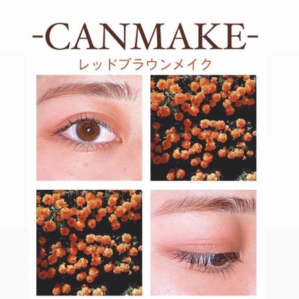 【旧品】パーフェクトスタイリストアイズ/キャンメイク/アイシャドウパレットを使ったクチコミ(1枚目)