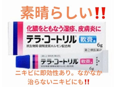 テラ・コートリル 軟膏(医薬品)/ジョンソン・エンド・ジョンソン/その他を使ったクチコミ（1枚目）