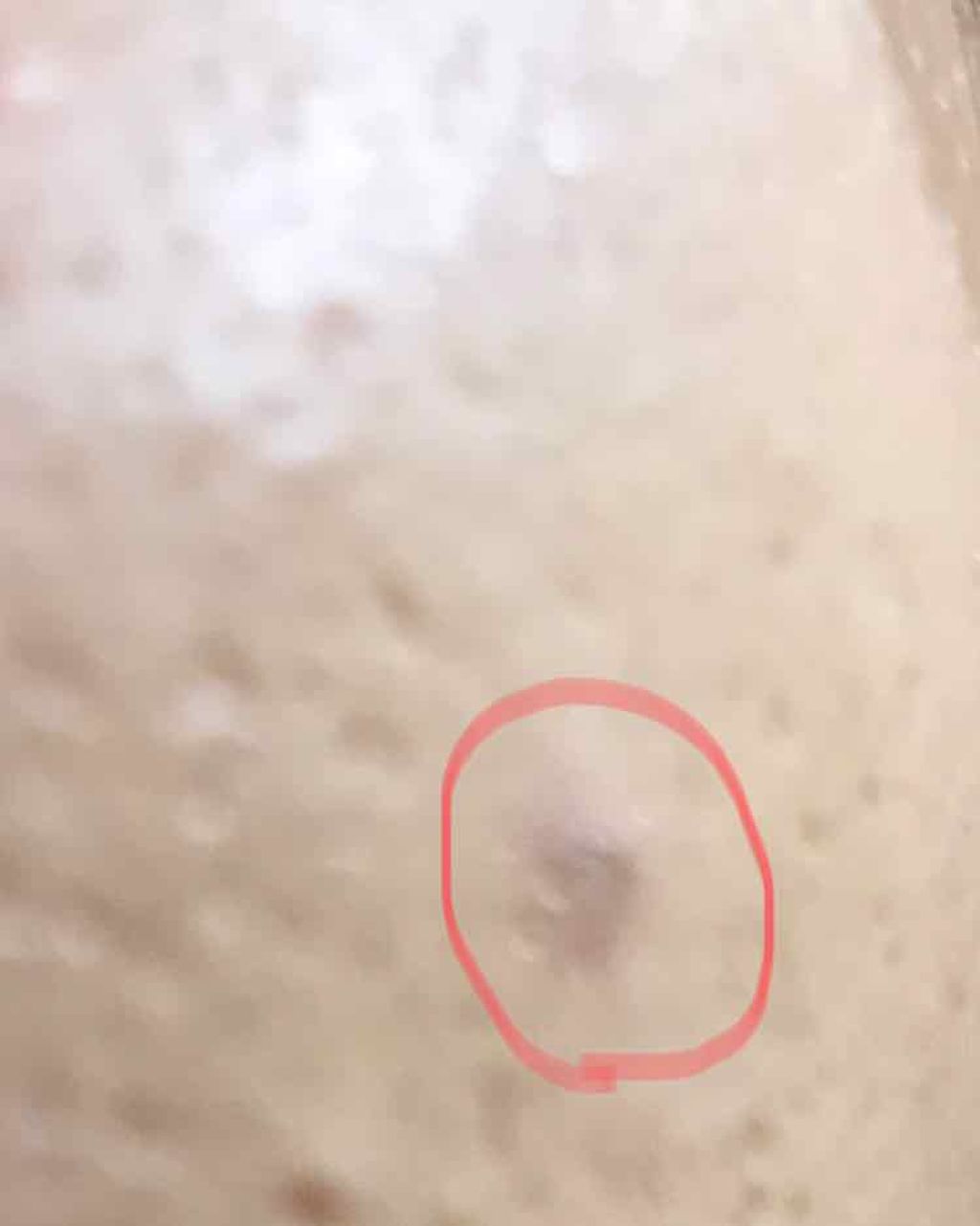 カバーパーフェクション チップコンシーラー/the SAEM/リキッドコンシーラーを使ったクチコミ（3枚目）