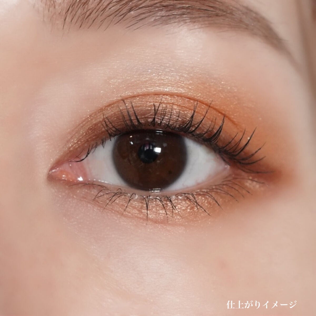 デザイニングブラウンアイズ/KATE/アイシャドウパレットを使ったクチコミ(6枚目)