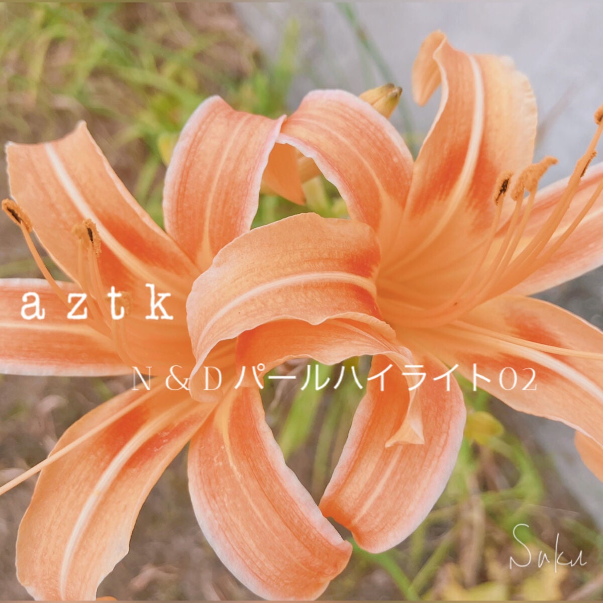 N&D パールハイライト/aZTK/パウダーハイライトを使ったクチコミ(1枚目)