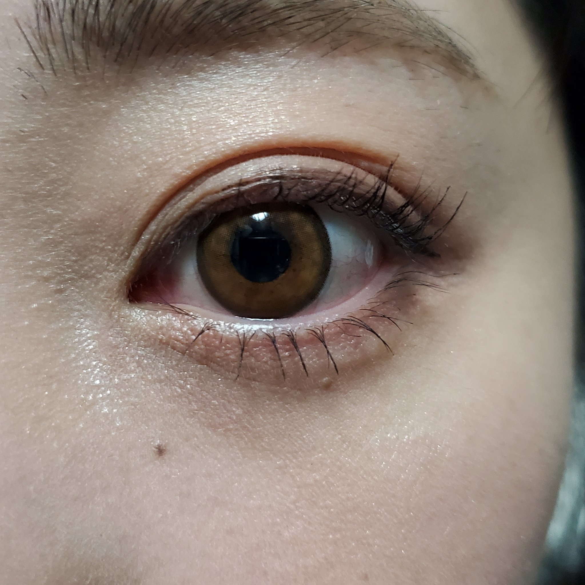 セパレート＆ロング マスカラ 01 漆黒ブラック/プロロジー/マスカラを使ったクチコミ（3枚目）