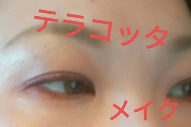 MegaGlo Highlighting Powder/wet 'n' wild/パウダーハイライトを使ったクチコミ（1枚目）