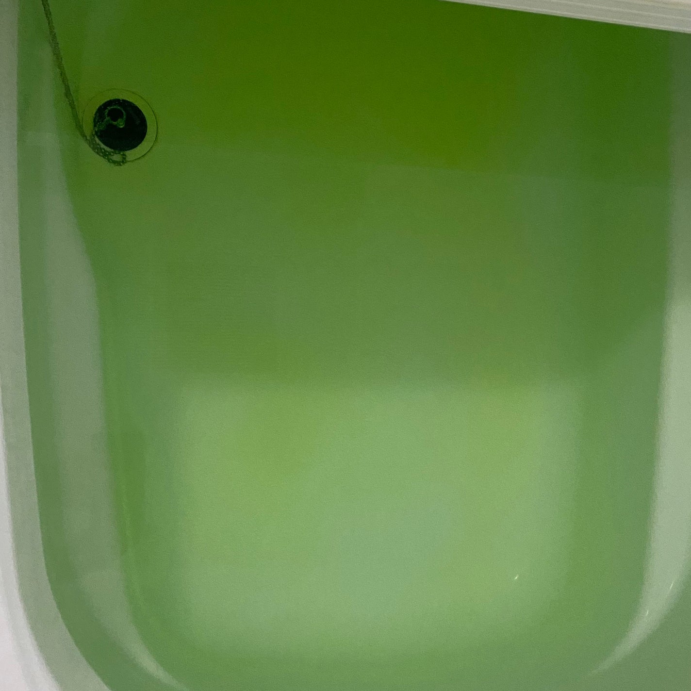 ハーバルエクストラ シトラスフルーツ/フィード/無機塩系入浴剤を使ったクチコミ(6枚目)