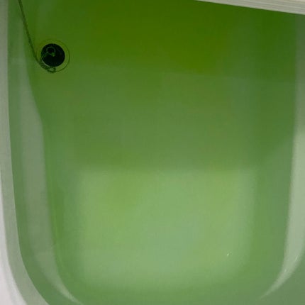 ハーバルエクストラ シトラスフルーツ/フィード/無機塩系入浴剤を使ったクチコミ(6枚目)