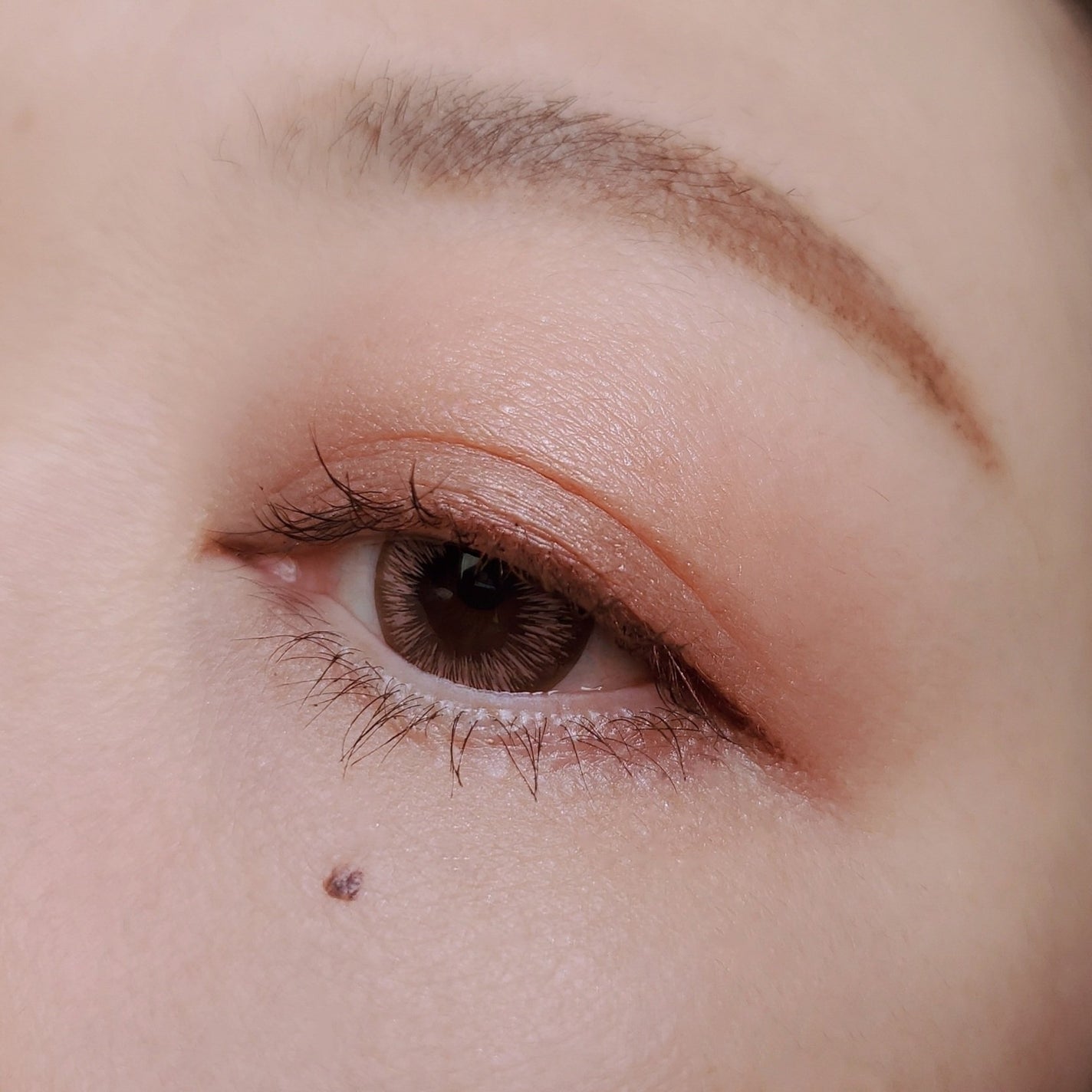 オペラ マイラッシュ アドバンスト/OPERA/マスカラを使ったクチコミ(6枚目)