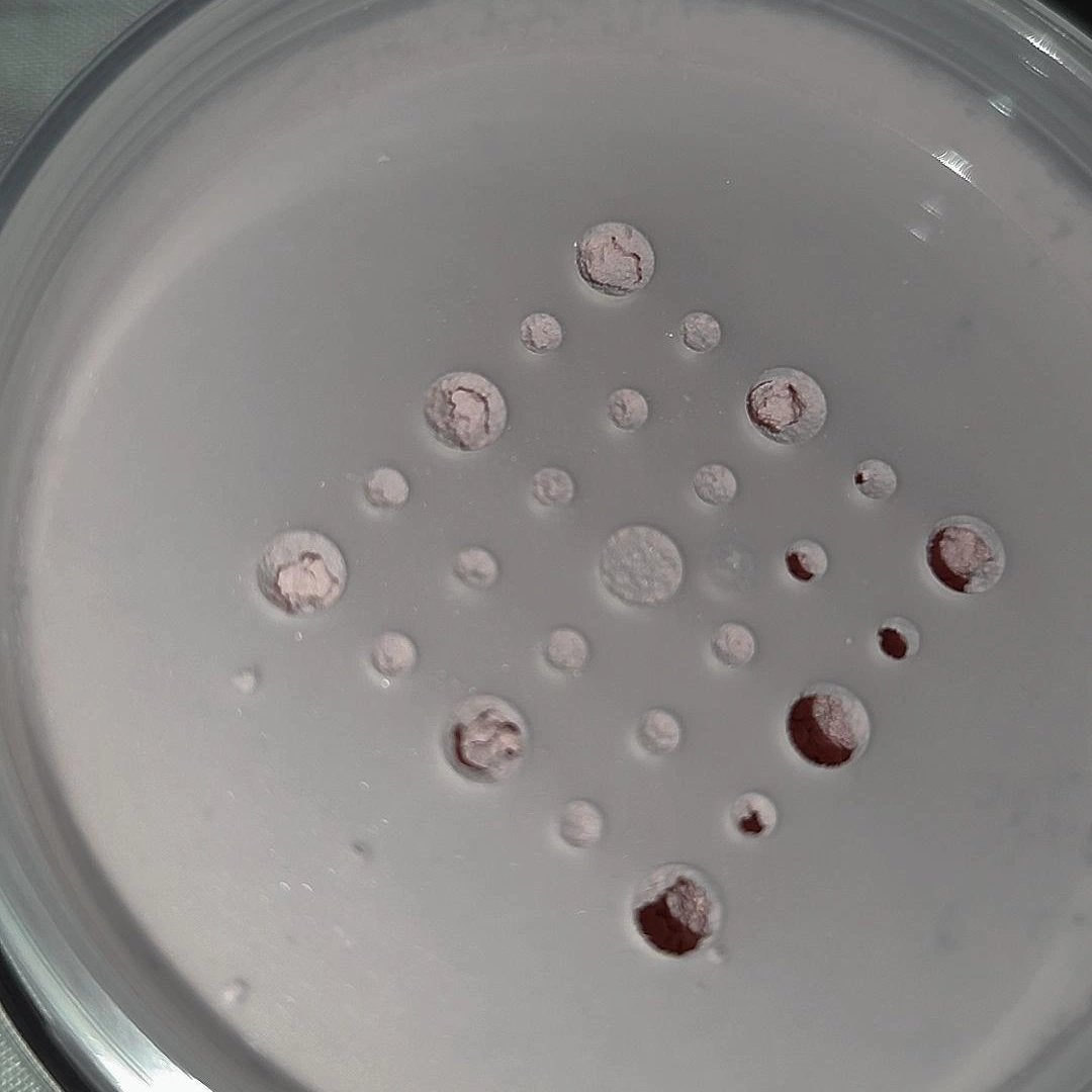 フィニッシングパウダー モイストC/チャコット・コスメティクス/ルースパウダーを使ったクチコミ(2枚目)