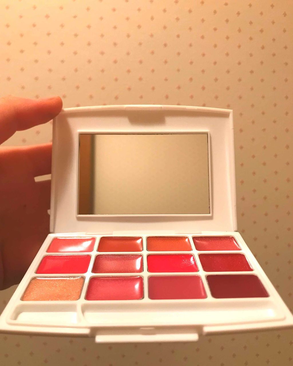 リップパレット / DAISO