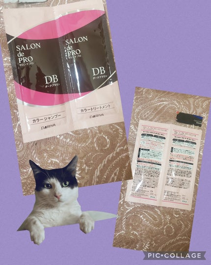 無香料ヘアカラー 早染めクリーム(白髪用)/サロン ド プロ/ヘアカラーを使ったクチコミ(2枚目)