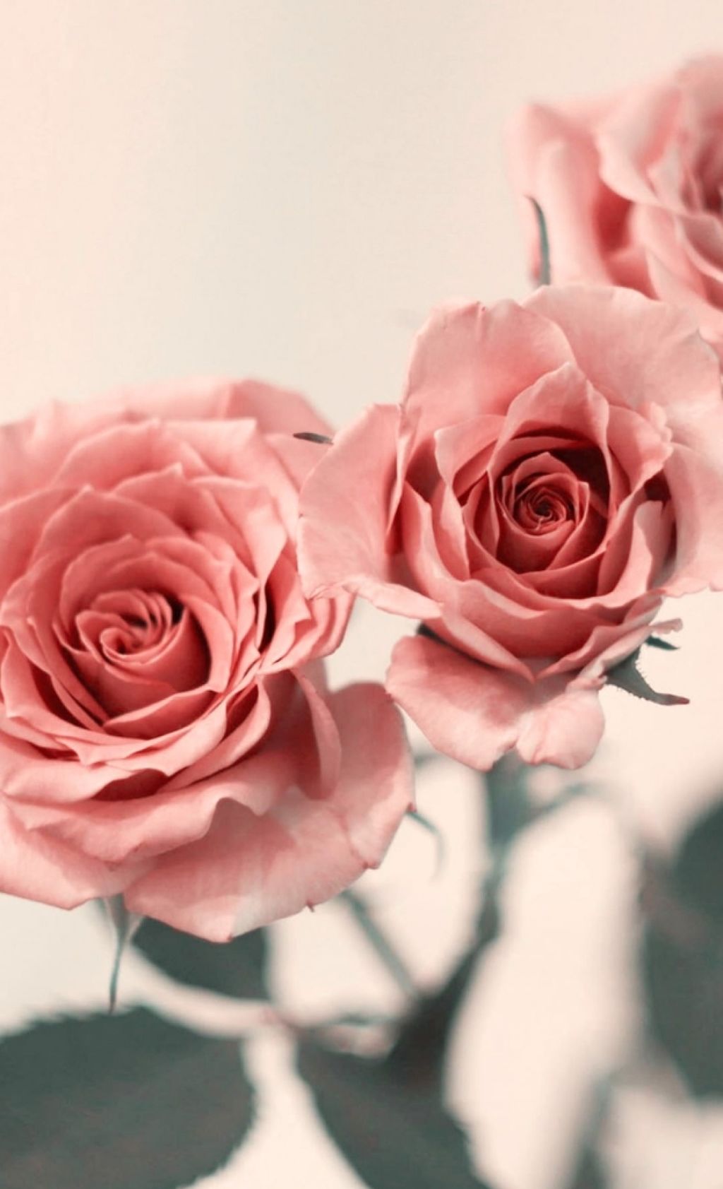 ステイオンバームルージュ/キャンメイク/口紅を使ったクチコミ(4枚目)