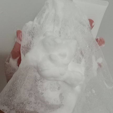 フォレストピトン水分CICAフォームクレンザー/FoRest by Greenfinger/洗顔フォームを使ったクチコミ(4枚目)