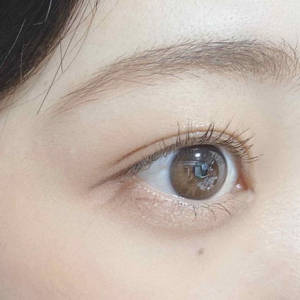 シャドウパレット/dasique/アイシャドウパレットを使ったクチコミ(4枚目)