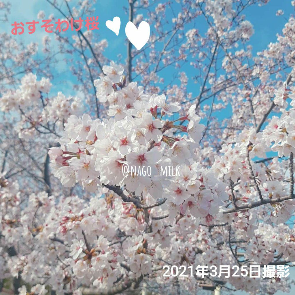URGLAM GLITTER GEM/U R GLAM/ジェル・クリームチークを使ったクチコミ(10枚目)