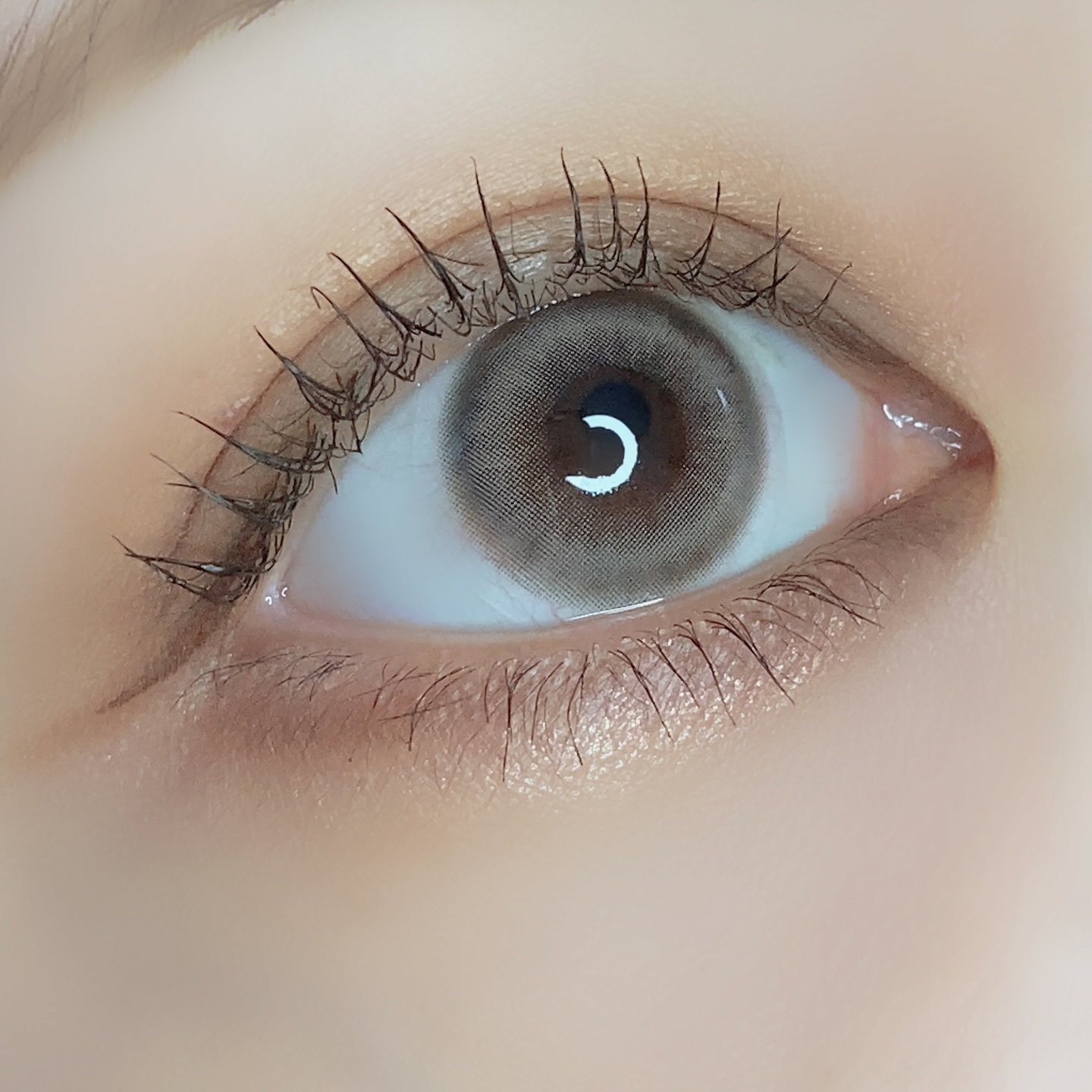 Pit-a-Pat Kristin 1day/Hapa kristin/ワンデー（１DAY）カラコンを使ったクチコミ（3枚目）