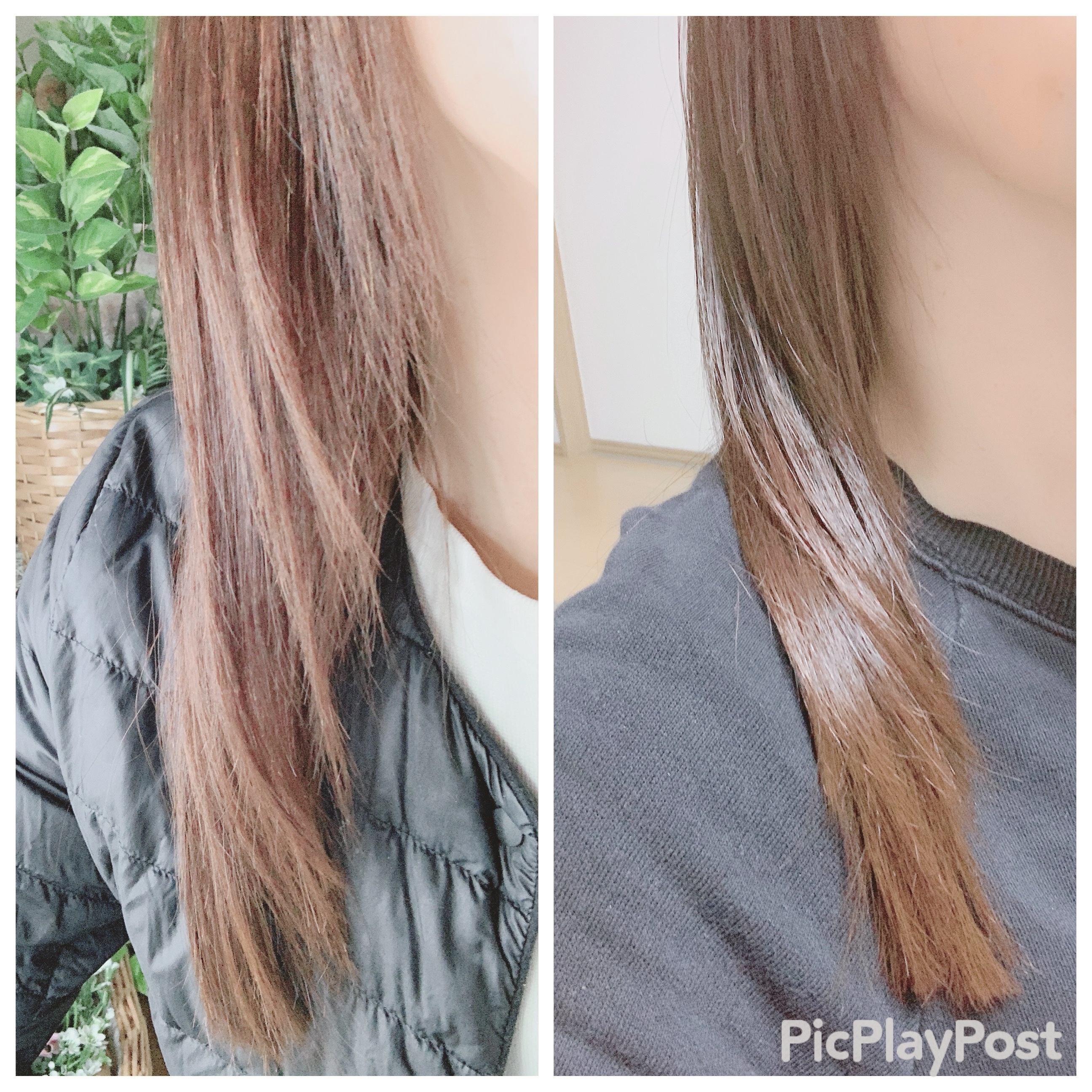 TJ pH5.5 シャンプー＆トリートメント/True jouvencE/市販シャンプーを使ったクチコミ（3枚目）