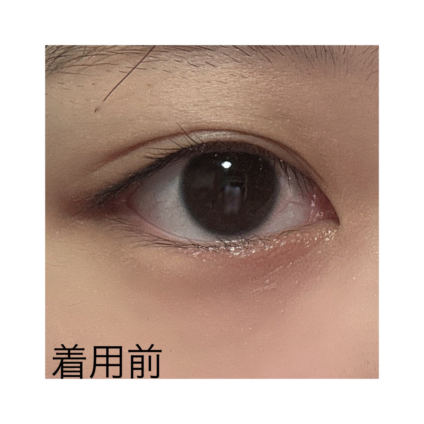 めん。 on LIPS 「#Qoo10メガ割買って後悔なし!ナチュラルに儚い系女子になれ..」(2枚目)