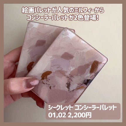 シークレットコンシーラーパレット/MilleFée/パレットコンシーラーを使ったクチコミ(2枚目)