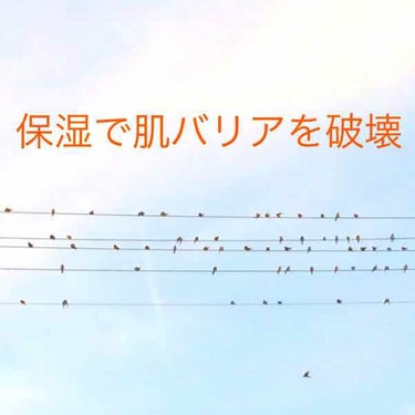 今年の秋くらいから、イイ歳だしと思ってまともなスキンケアを始めてみたけど、やっぱり何の効果も感じないし、なんならむしろしない方が落ち着いてた気がする。生理前ですらほぼニキビ出なかったのに、スキンケア始め