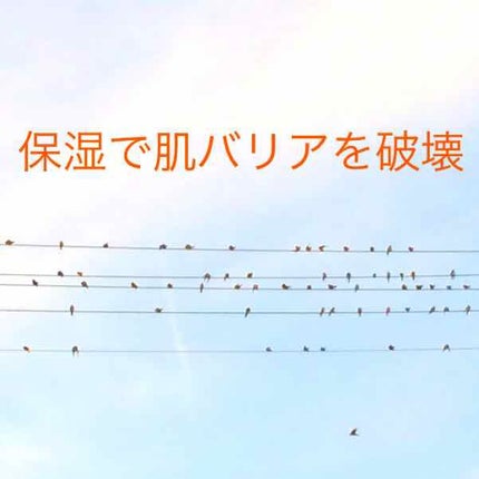アレッポの石鹸<ノーマル>/アレッポの石鹸/洗顔石鹸を使ったクチコミ(1枚目)
