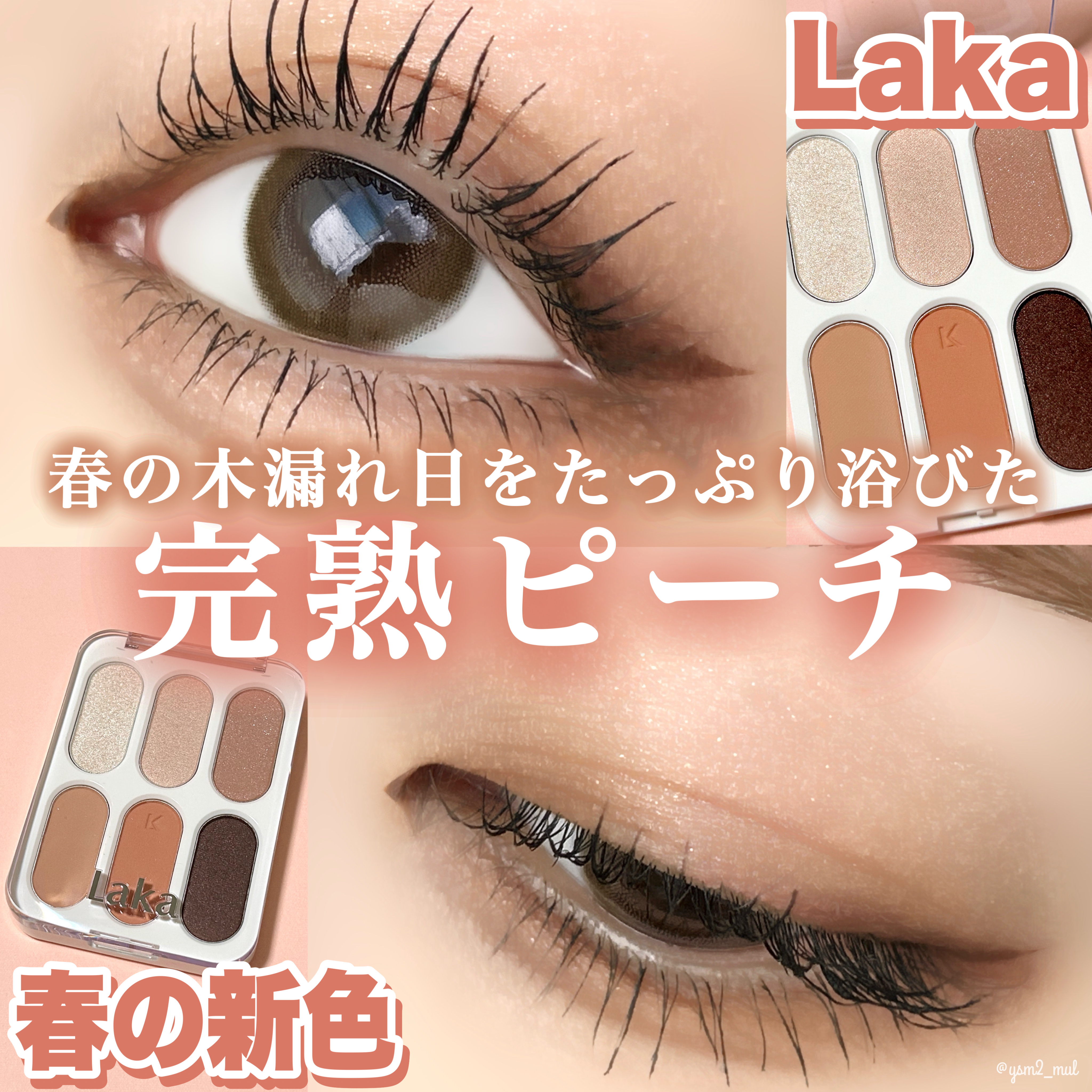 フォーエバー6アイパレット/Laka/アイシャドウパレットを使ったクチコミ（1枚目）