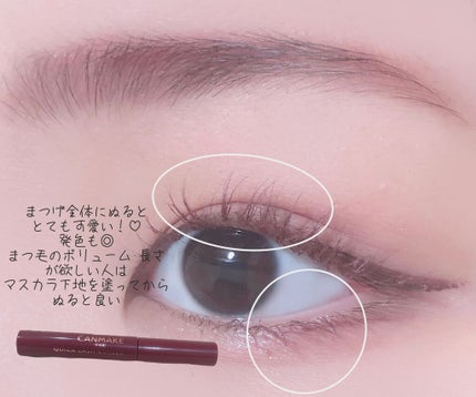 クイックラッシュカーラー/キャンメイク/マスカラ下地を使ったクチコミ(4枚目)