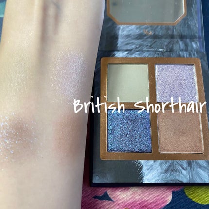 Venus Marble アイシャドウキャットシリーズ/Venus Marble/アイシャドウパレットを使ったクチコミ(6枚目)