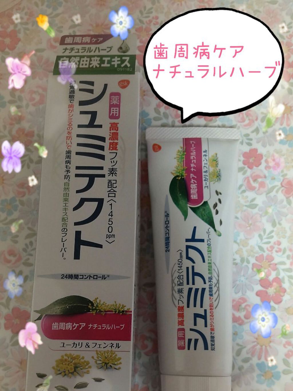 シュミテクト 歯周病ケア ナチュラルハーブ 99g 6個 薬用シュミテクト 歯周病ケアナチュラルハーブ90g（グラクソ・スミス