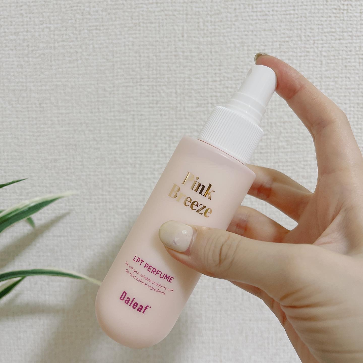 パフュームヘアパックインミスト Pink Breeze/Daleaf/アウトバストリートメントを使ったクチコミ（2枚目）