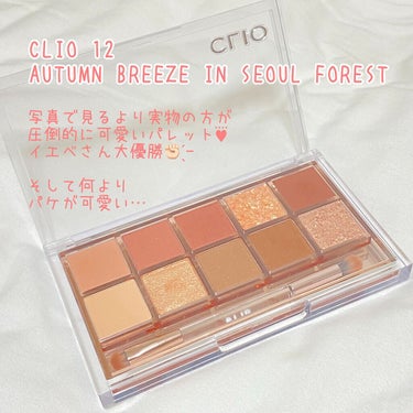 プロ アイ パレット/CLIO/アイシャドウパレットを使ったクチコミ（2枚目）