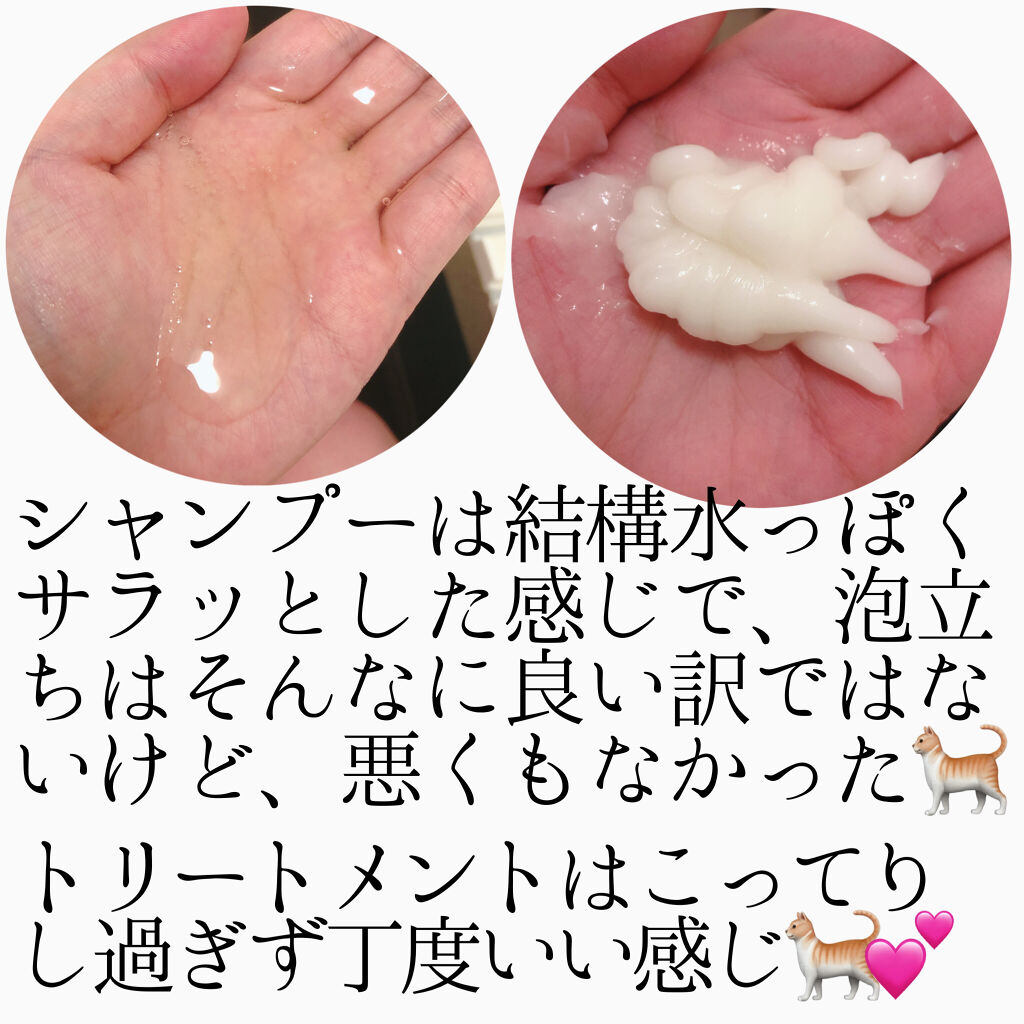 ハワイアンシャンプー＆トリートメント ＜リペア＞/who cares?/市販シャンプーを使ったクチコミ（2枚目）