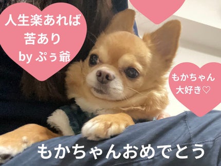 KTドレスアップネイル/ハローキティ/マニキュアを使ったクチコミ(9枚目)