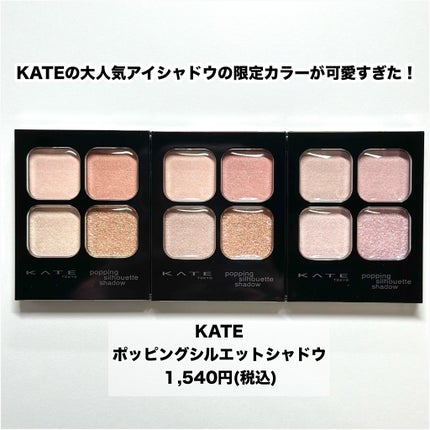 ケイト ポッピングシルエットシャドウ/KATE/アイシャドウパレットを使ったクチコミ(2枚目)